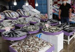 Balık fiyatlarındaki artışın sebebi belli oldu