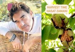 Burak Hakkı ceviz hasadına başladı