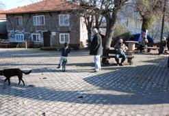 Corona virüsün uğramadığı köyde muhtar telefonlara yetişemiyor