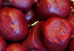 Kırmızı pancarın faydaları nelerdir? Kırmızı pancar ne işe yarar?