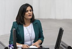 Teslim olan teröristler ifadelerinde HDP'li Taşdemir'in Gara'ya gittiğini anlattı