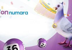 On Numara sorgulama ekranı: 26 Şubat 2021 On Numara sonuçları