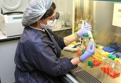 Yerli koronavirüs ilacında beklenen son dakika haberi geldi