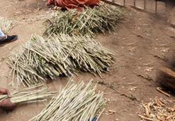 Misvak orucu bozar mı?