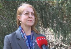 İstanbul için korkutan tahmin!  'Yaz ayları yaşanılmayacak kadar sıcak olacak'