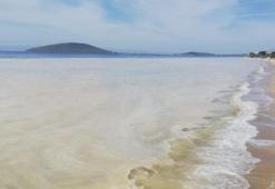 Müsilaj, Avşa’da denizden su arıtıp içme suyu yapan tesisin filtrelerini tıkadı