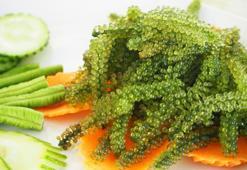 Deniz börülcesi faydaları ve yararları: Deniz börülcesi neye iyi gelir?