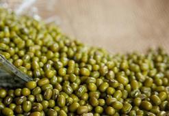 Maş fasulyesi neye iyi gelir?