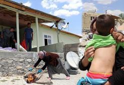 Van'da mahalle sakinlerini isyan ettiren istila! Geceleri ortaya çıkıyorlar...