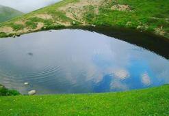 Dipsiz Göl'den yürek burkan görüntü! 'Artık ölmüştür'