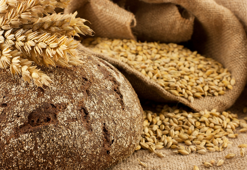 Venüs iyileşme vaat ediyor