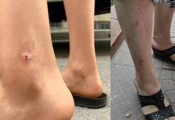 Son dakika: İstanbul'da kabus yayılıyor! Etrafı mosmor oldu