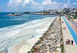 Çevre ve Şehircilik Bakanlığı'ndan müsilaja karşı hamle!