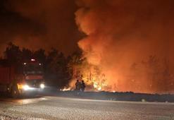 Son dakika... Bakan Koca'dan yangınlar hakkında önemli açıklama
