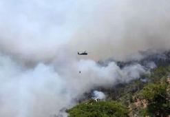 Son dakika: Muğla'da yangın yeniden büyüdü! Köyceğiz'deki yangına rüzgar etkisi