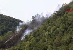 Son dakika... İstanbul'da orman yangını