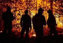 AFAD duyurdu: Yangınlar ve seller sonrası yardım kampanyaları başlatıldı