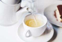 Beyaz çayın faydaları ve zararları nelerdir? Beyaz çay ne zaman içilmeli?