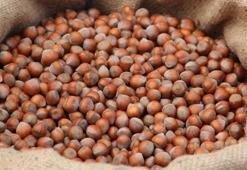 Fındık fiyatları 2021: Fındık fiyatları ne kadar? İşte il il güncel fındık fiyatları