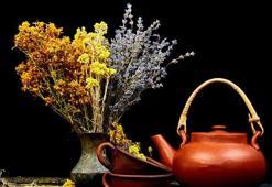 Hızla zayıflatan 10 bitki çayı