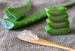 Aloe veranın cilde mucizevi faydaları