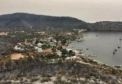 Son dakika:  Bodrum ve Milas yangınının ardından yürek yakan görüntüler!