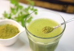 Moringa çayının nedir? Moringa çayının faydaları ve zararları nelerdir?