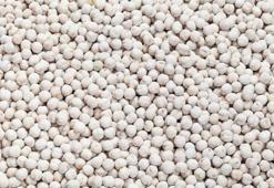 Beyaz leblebinin daha önce hiç duymadığınız faydaları