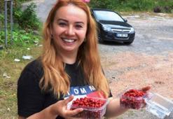 Günde en fazla 1 kilo toplanabiliyor, anında tükeniyor!