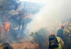 Son dakika: Aydın'da yangın! 2.8 hektar orman cayır cayır yandı