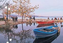 Tohumun can bulduğu her karış toprağı bereketli: Sakarya