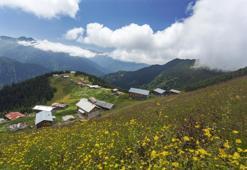 Pandemi sonrası keşfedilmesi gereken 7 Karadeniz yaylası