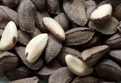 Brezilya cevizini tüketirken dikkat edilmesi gerekenler