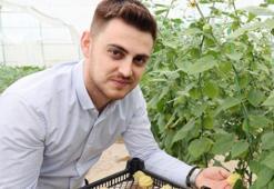 Dünyanın en zengini! Altın çileğin kilosunu 150 liradan satıyorlar