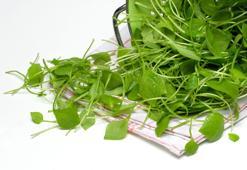 Yazın en hafif yemeklerini onunla yapın, öyle şifalı ki!