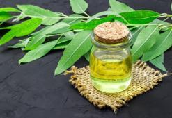 Antiviral etkisi olan okaliptus ve limon yağının Covid-19'a karşı koruyuculuğu kanıtlandı