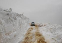 Karadeniz yaylaları yaza hazırlanıyor
