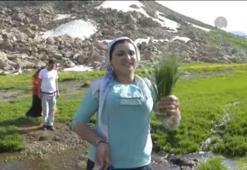 Van kahvaltısının baş tacı "otlu peynir"