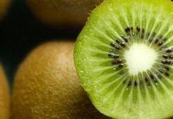 Kivi gribin düşmanı!