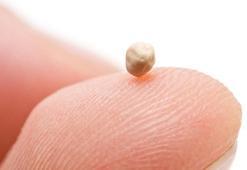 Metabolizma canavarı! Hızla zayıflatıyor, vücutta yağ bırakmıyor