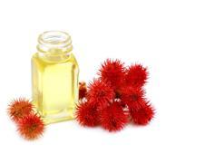 Hint yağı faydaları ve kullanım alanları