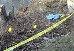 Eşini başına tahta ile vurarak öldürüp cesedini dereye atmış