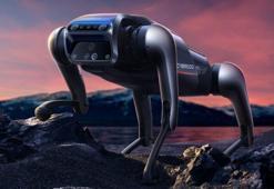 Xiaomi, robot köpek CyberDog'un yeteneklerini gösterdi