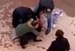 Son dakika: İddianame tamamlandı! Asiye’ye saldıran köpekler silah sayıldı