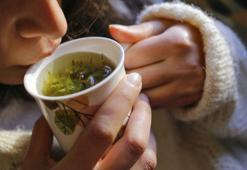 Melisa çayı nasıl demlenir ve içilir? Melisa nerede yetişir, ne işe yarar?