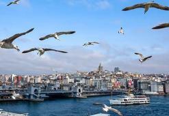 Pastırma sıcakları ne zaman başlayacak 2021? Pastırma yazı nedir, nasıl oluşur?