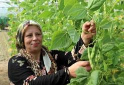 İstemeyerek girdiği işte kendi işinin patronu oldu! 'Yetiştirmesi de yemesi de güzel'