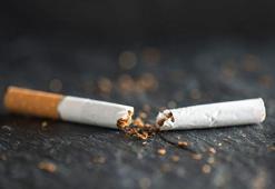 Sigara ve alkol bağışıklık sistemini olumsuz etkiliyor