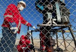 Mardin'de petrol sevinci! 'Çok verimli...'