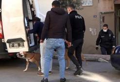 Pitbull vahşeti devam ediyor! Görgü tanığı o anları anlattı: Köpekler kadını parçalayacaktı